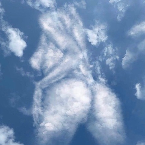 Jessblu @jessblu cover picture