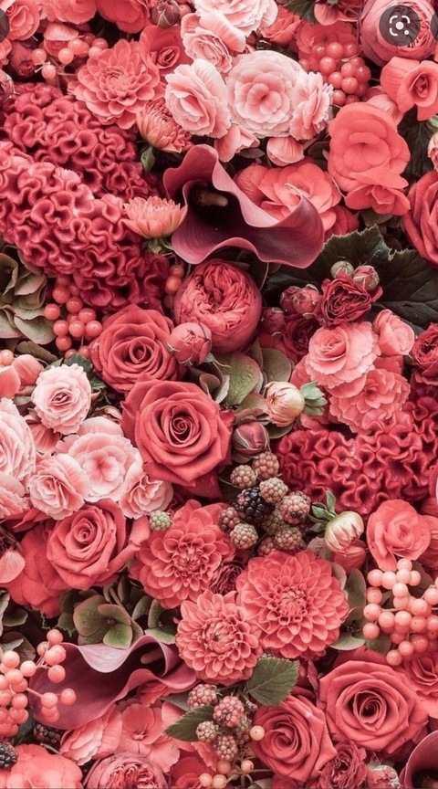 jessica @jessi.rocknroll cover picture