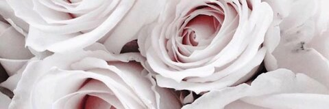 jessica fleet @jessicafleet cover picture