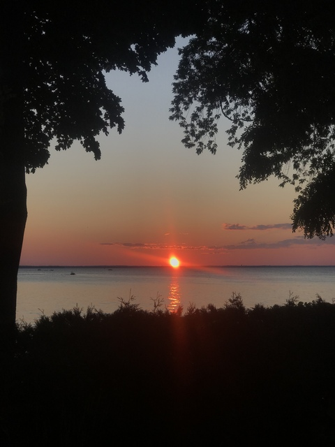 Jessie @jessicahanna cover picture