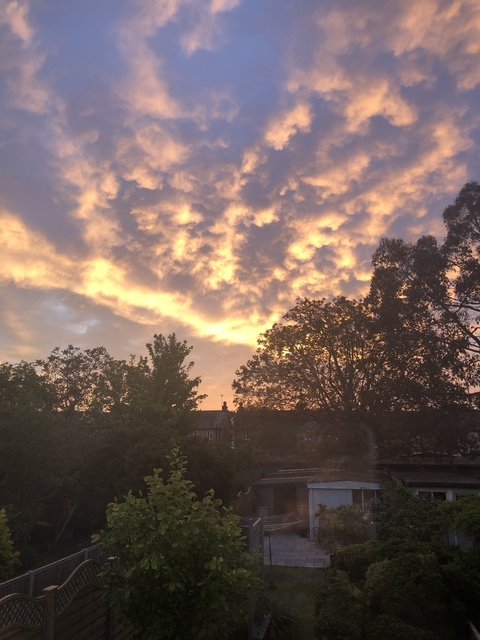 Jess Fairchild @jessybabyxo cover picture