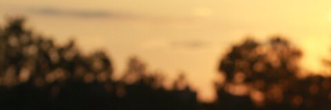 佳多饱 @jiaduobao11 cover picture