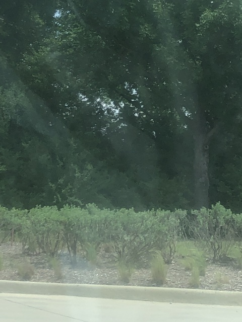 Joe @jizzo1999 cover picture