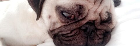 Jessica Coday (JC) @jj4055 cover picture