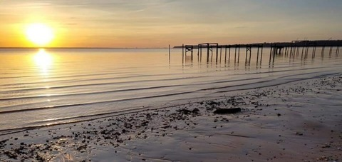 Joey Sins @joeysins7 cover picture