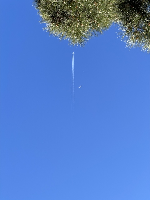 John @johnslayer89 cover picture