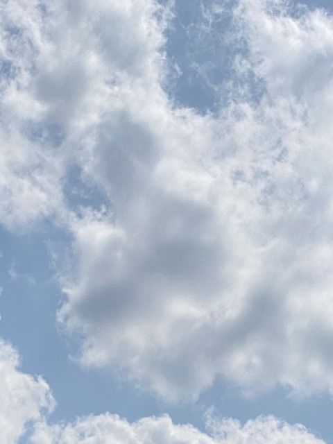 Joseline Kavaski 🤍 @joselinekavaski cover picture