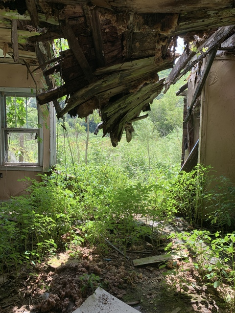 josie @josiebrown cover picture