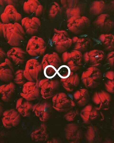 Journey @journey cover picture