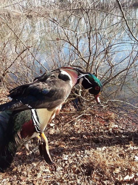 Jordan Richards @jrich0527 cover picture