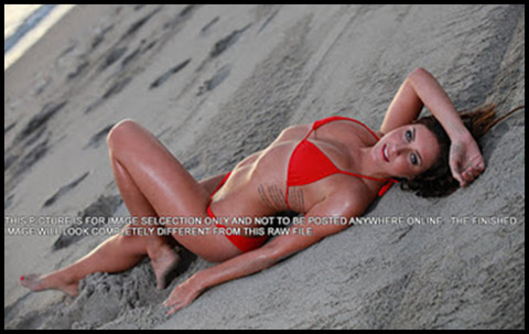 JuliaRose @juliarose cover picture