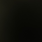 julicala Profile Picture