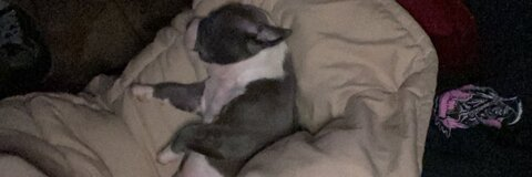 Juls ❣️ @julsluvsyou cover picture