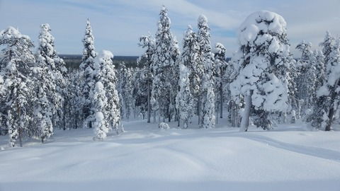 Mrau0 @justincase0 cover picture