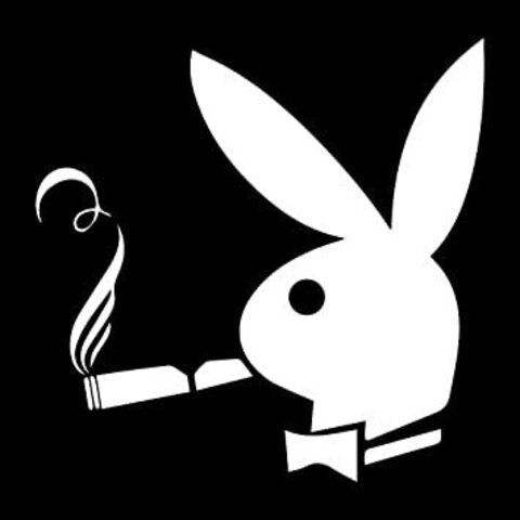 Kitty @k6969696969 cover picture