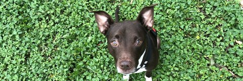 spooky ghoul 👻 @kailieyeager7 cover picture