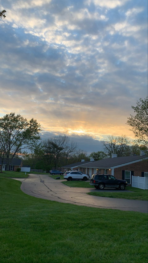 Kalie Dawn @kaliewaley cover picture