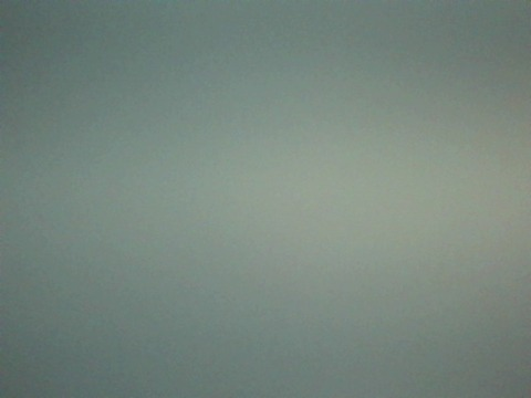 T @karate cover picture