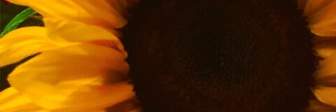 Jessicaaå @karmaa_sutraa cover picture