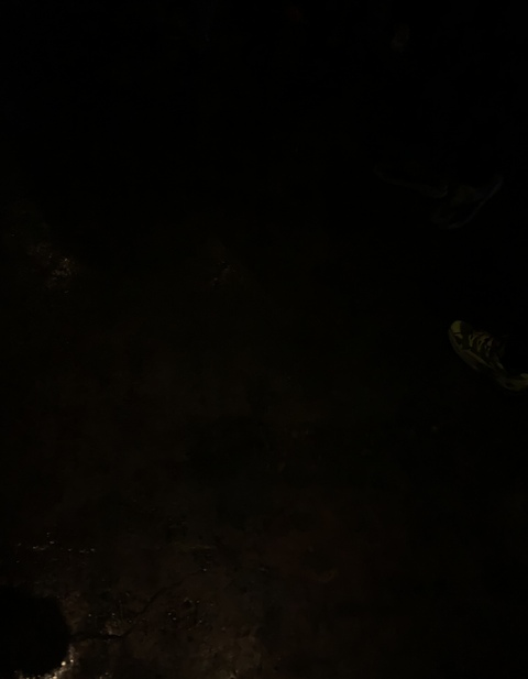 Mocha_Papi @kartermccxv cover picture