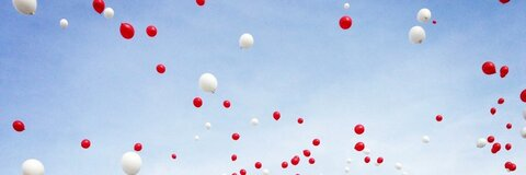 Pickle Chips @kaseyk14 cover picture