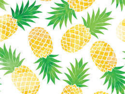 Kassandralee @kassandralee cover picture