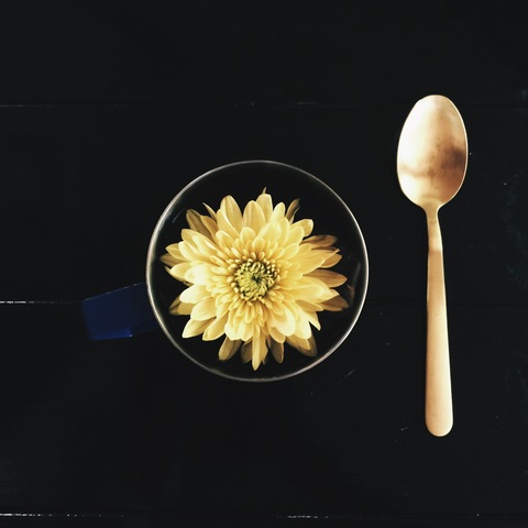 Kat ☕️ @katandcoffee cover picture