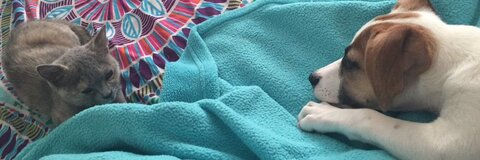 kat . @kathiieee cover picture