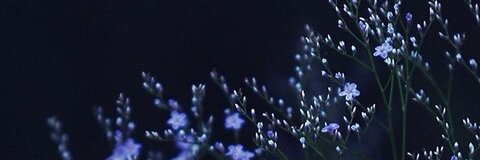 katie @kathlynn cover picture