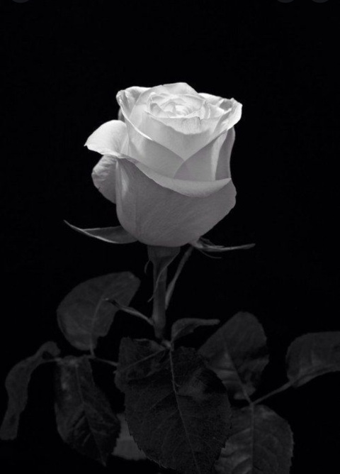 Katies @katiesclub cover picture