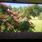 katnis Profile Picture