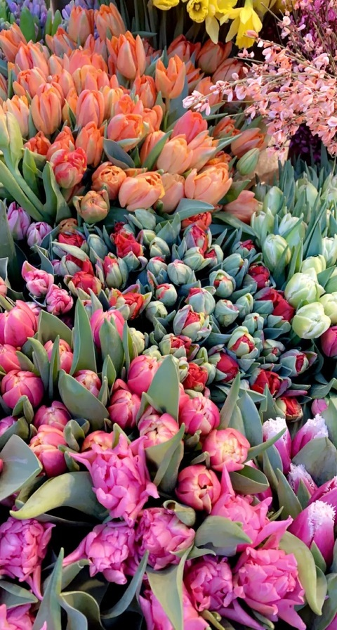 Katy @katybabyyy cover picture