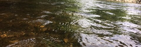 Mi$$ Kay @kaykay64030231 cover picture