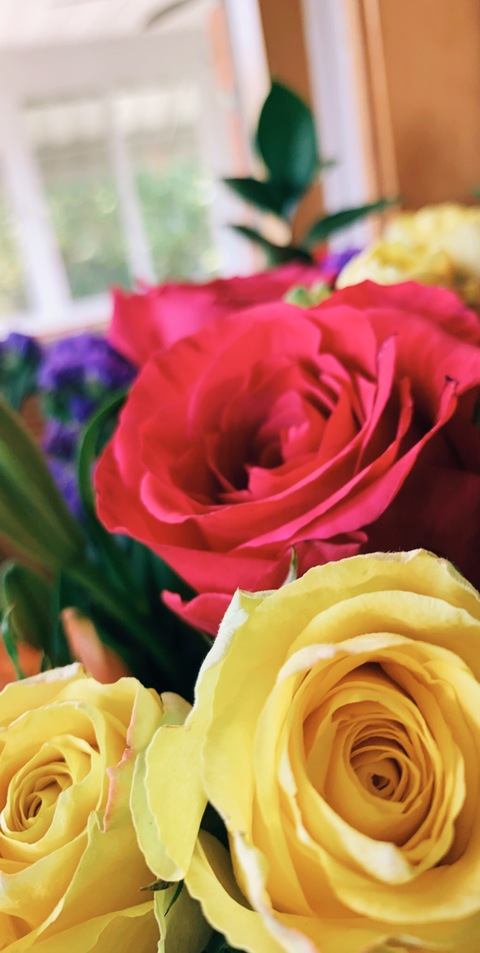 Kaylalynn @kaylalynn cover picture