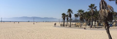 Kane @kcaprice cover picture