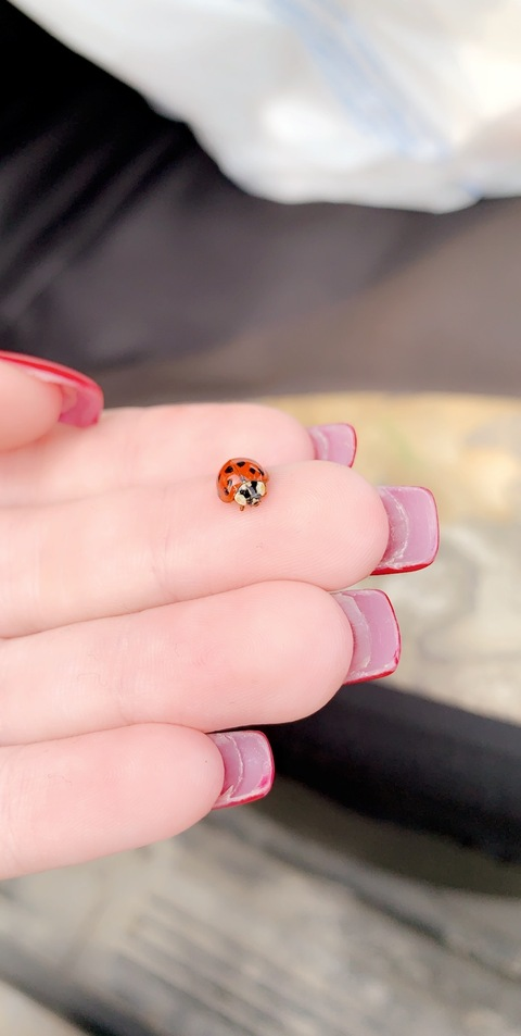 KD @kds2828 cover picture