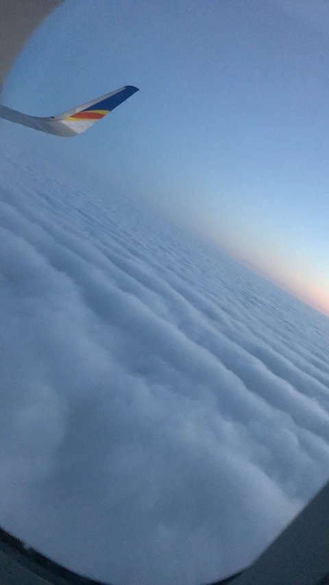 kaitlynn willison @kdubs cover picture