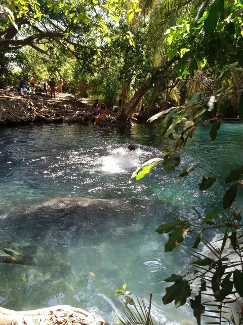 Kendi Mutua @kendi cover picture