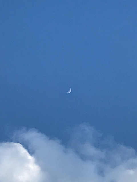 Kenichi Fr3Qu3nci3 @kenichifreq cover picture