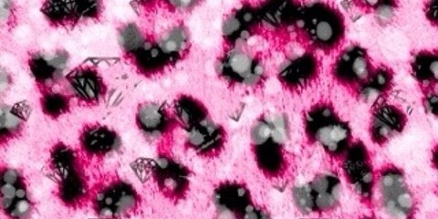 Kennedy Kressler @kennedymeow cover picture