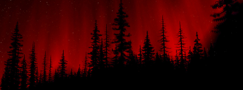 Mckenna @kenners413 cover picture