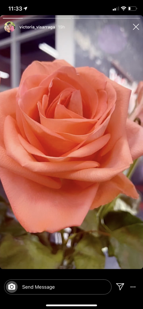 Nichole @kienichole cover picture