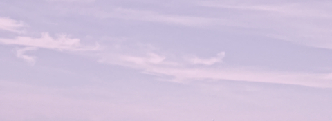 kiki ♡ @kikibear cover picture