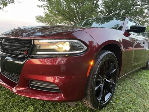 Kimber.Rose @kimberonlyfanss cover picture