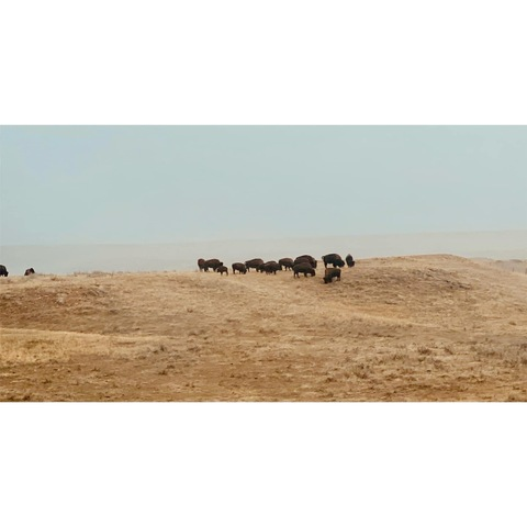 🌸Kim🌸 @kimright cover picture