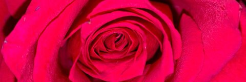 T baby @kinkytbaby cover picture