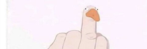 Sydney @kitty2002 cover picture