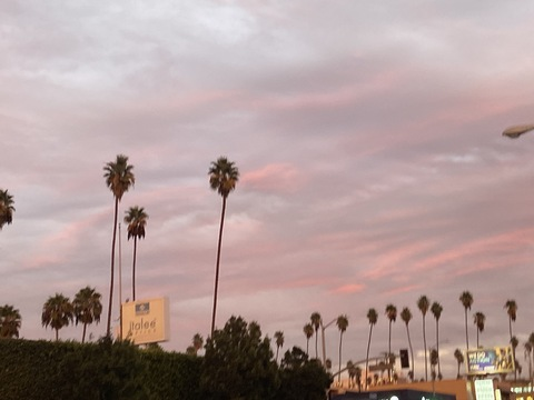 Kitty :-) @kittybit cover picture