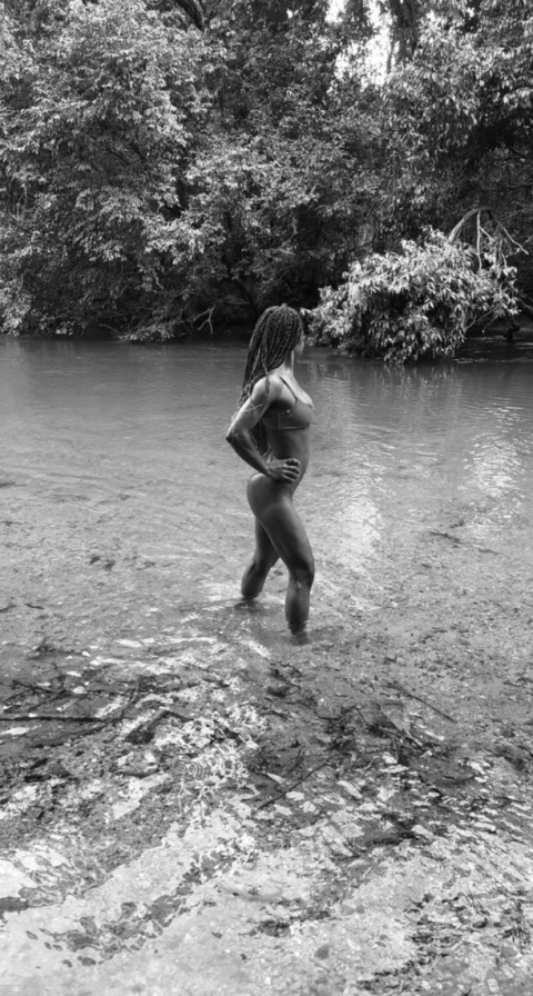 Kittyket @kittyket cover picture