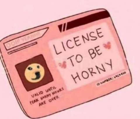 Kiwi @kiwiboxx cover picture